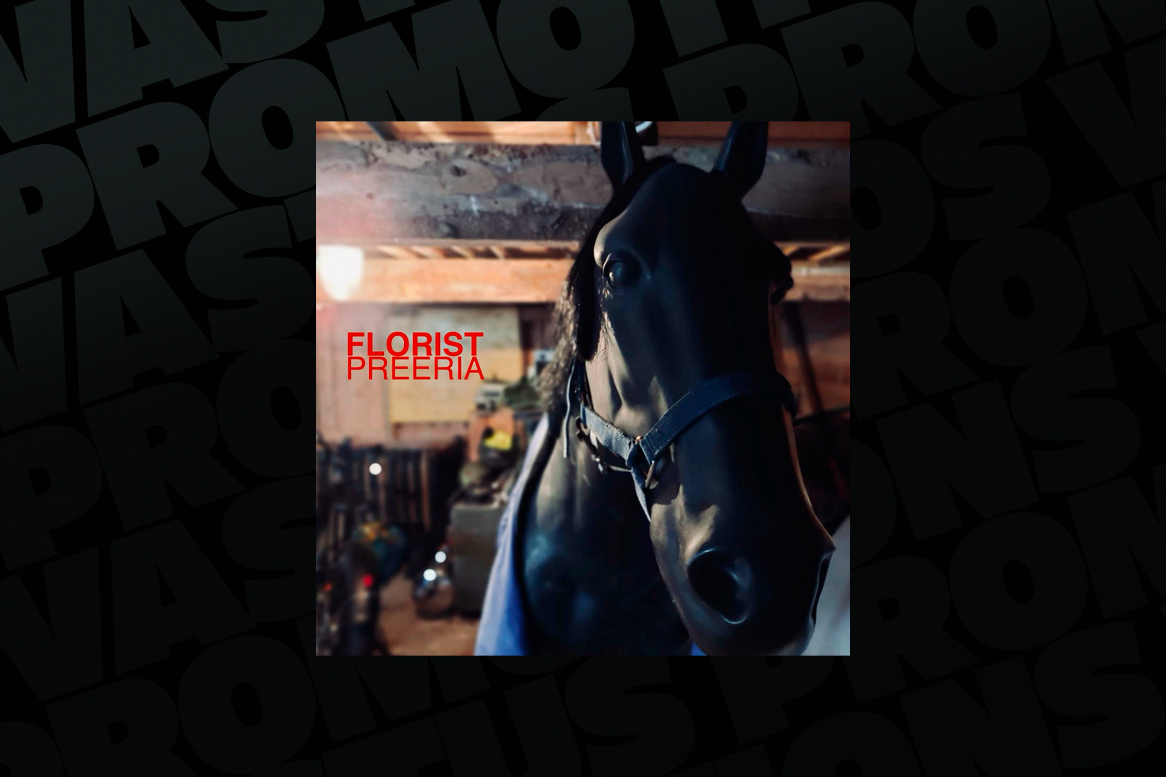 Elokuun levy: Florist – Preeria